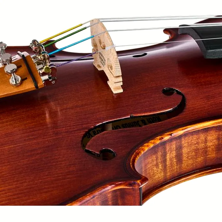 Roth & Junius Europe Orchestra Violin Set SB