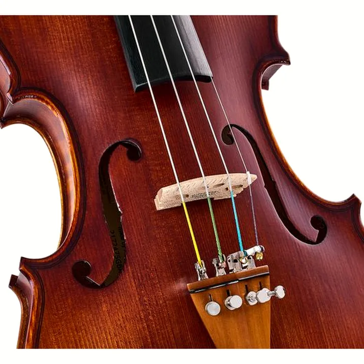 Roth & Junius Europe Orchestra Violin Set SB