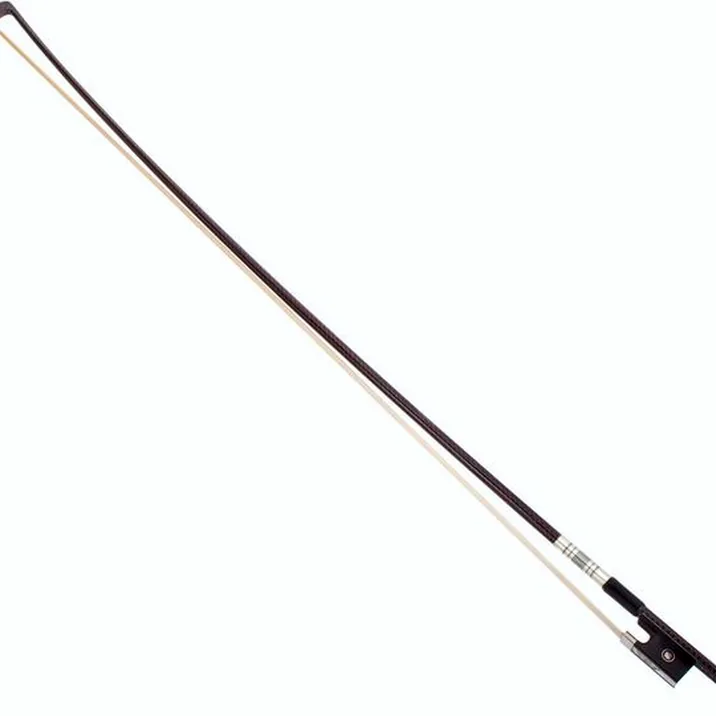 Roth & Junius Europe Orchestra Violin Set SE