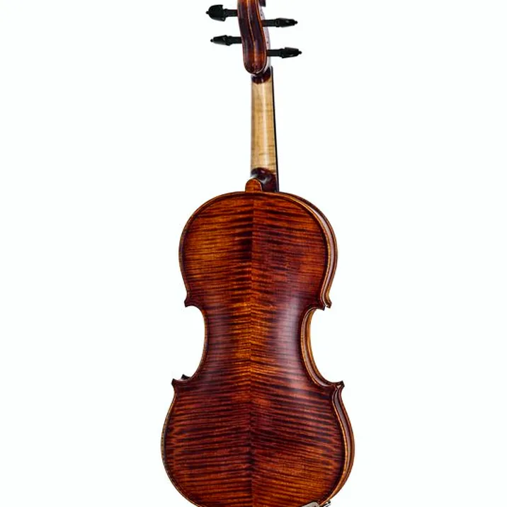 Roth & Junius Europe Orchestra Violin Set SE