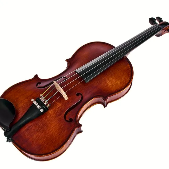 Roth & Junius Europe Orchestra Violin Set SE