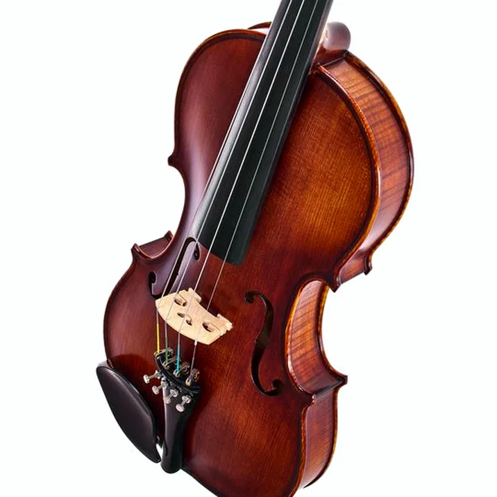 Roth & Junius Europe Orchestra Violin Set SE