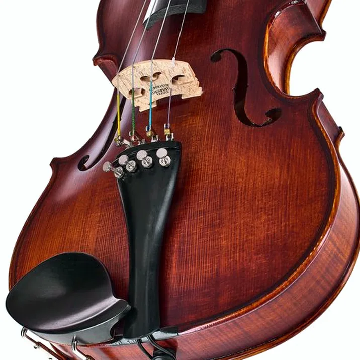Roth & Junius Europe Orchestra Violin Set SE