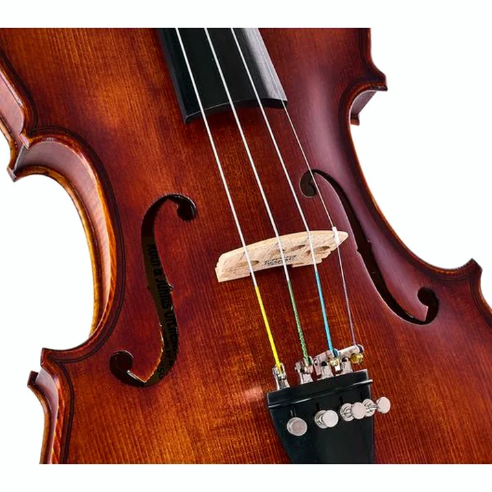 Roth & Junius Europe Orchestra Violin Set SE