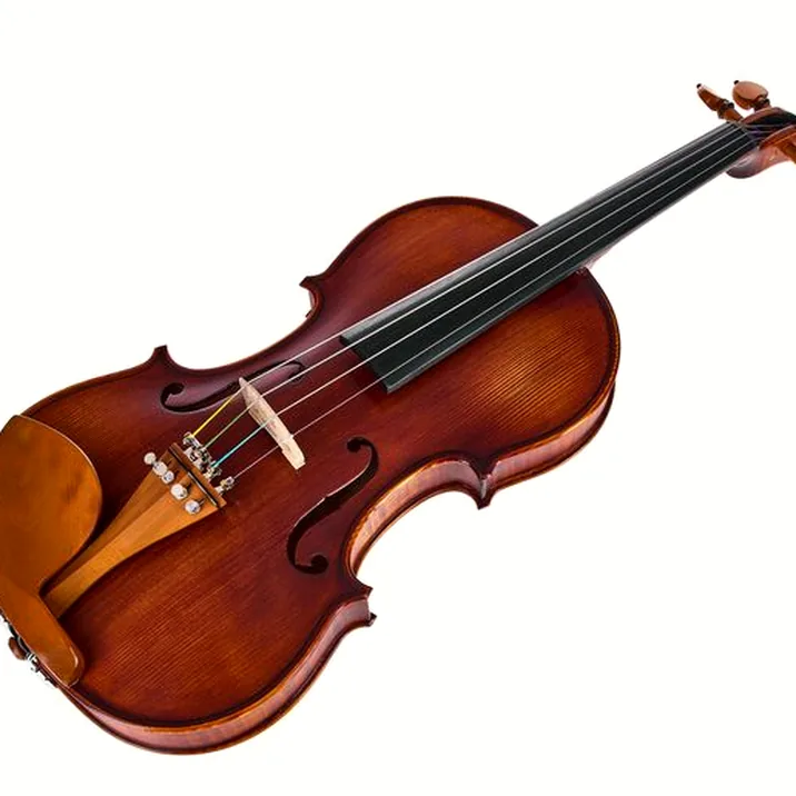 Roth & Junius Europe Orchestra Violin St/Bw