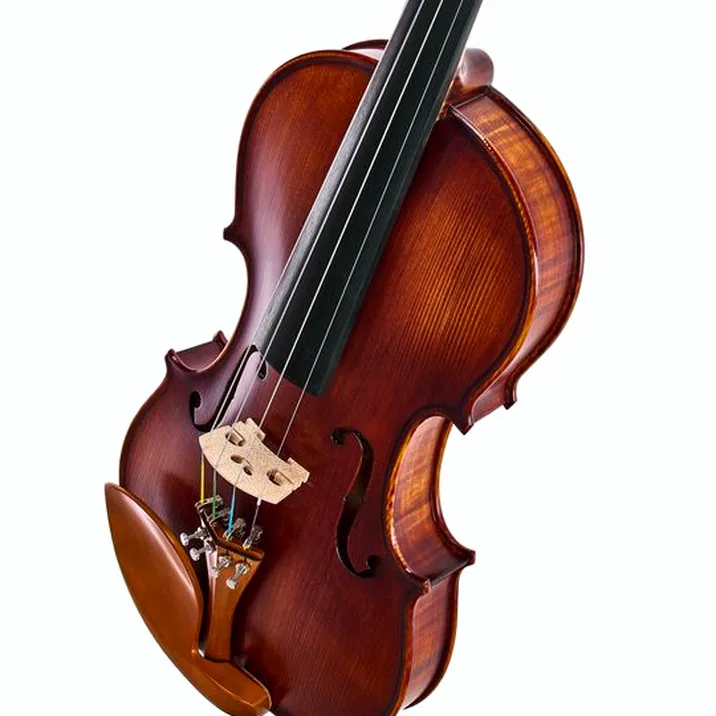 Roth & Junius Europe Orchestra Violin St/Bw