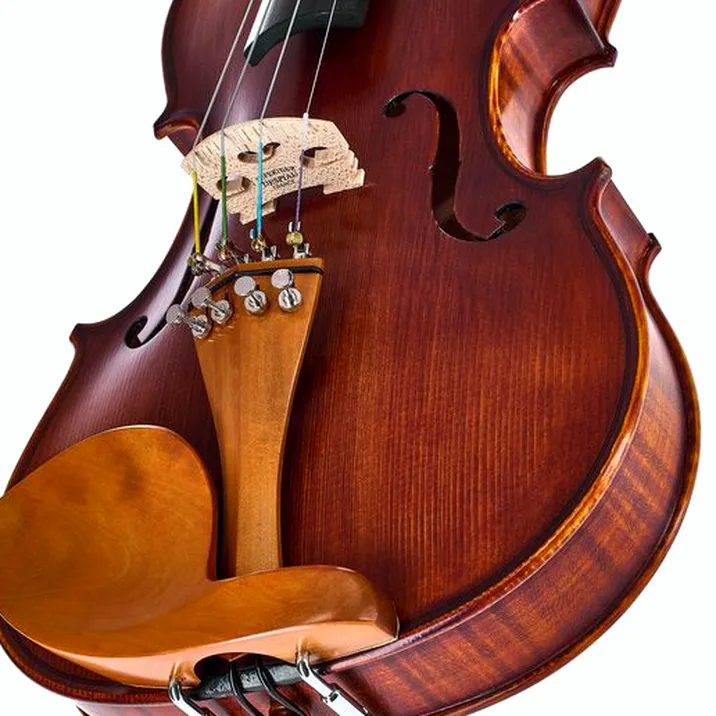Roth & Junius Europe Orchestra Violin St/Bw