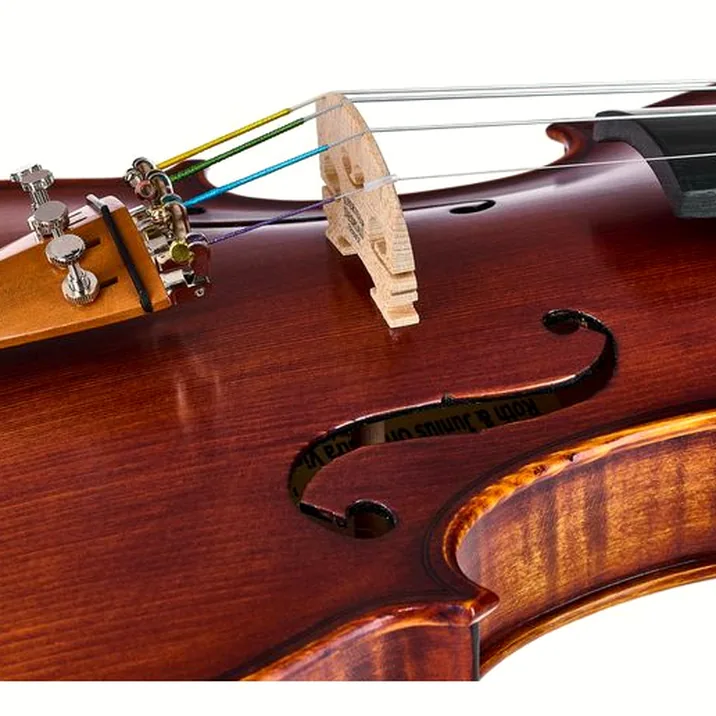 Roth & Junius Europe Orchestra Violin St/Bw