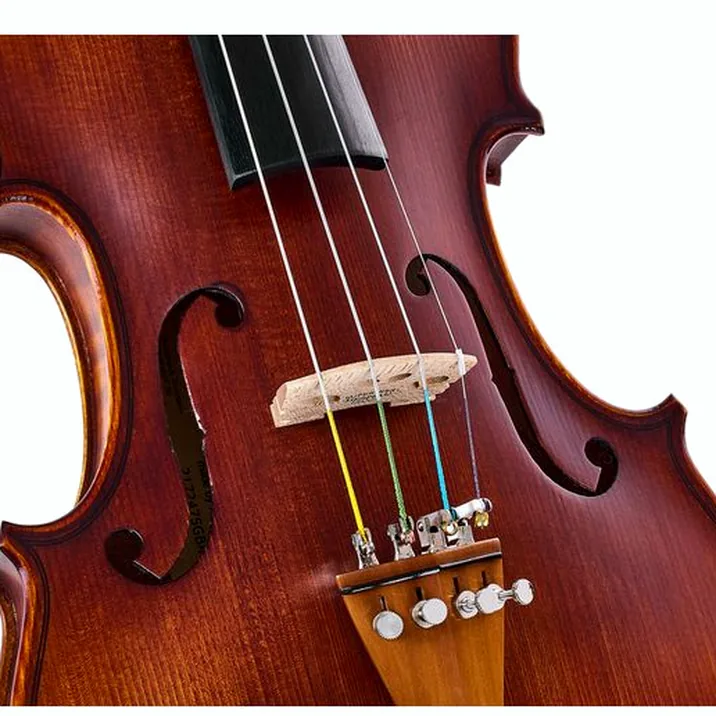 Roth & Junius Europe Orchestra Violin St/Bw