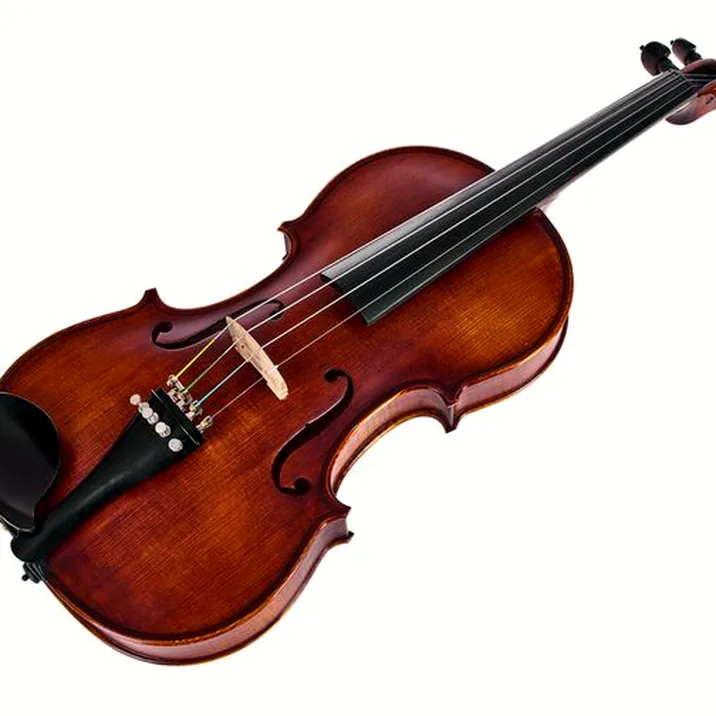 Roth & Junius Europe Orchestra Violin St/Eb