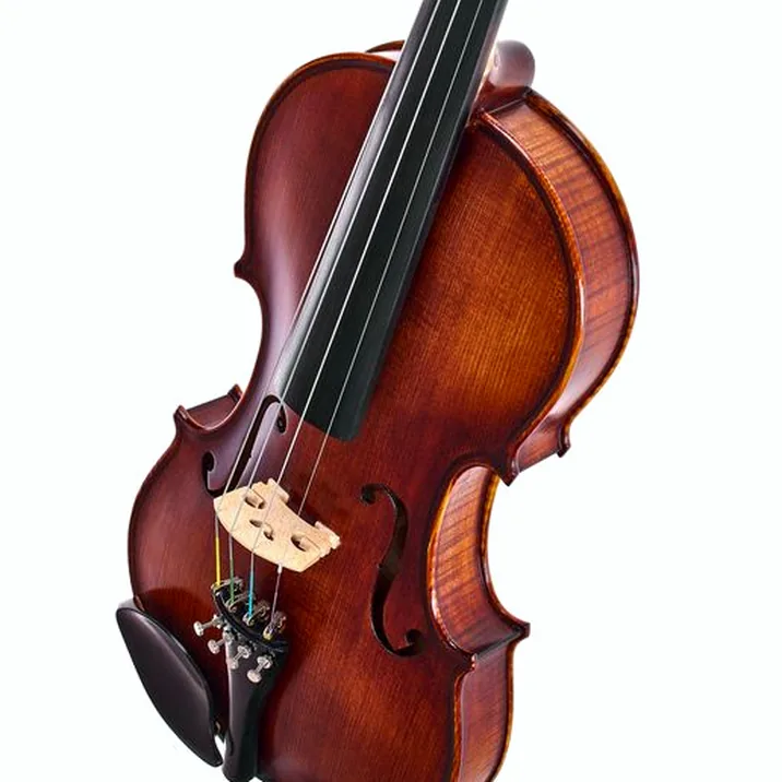 Roth & Junius Europe Orchestra Violin St/Eb