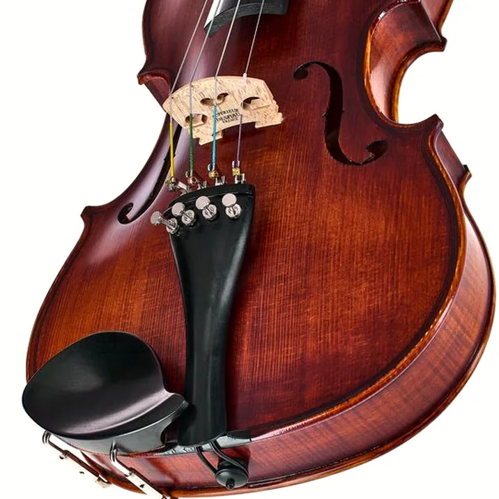 Roth & Junius Europe Orchestra Violin St/Eb