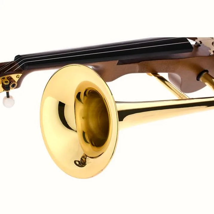 Roth & Junius Stroh Violin New Edition 4/4