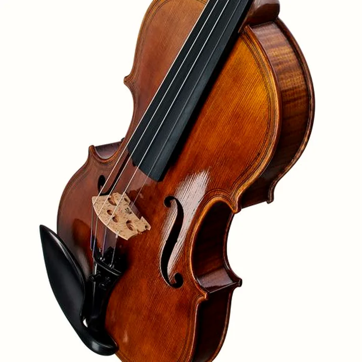 Scala Vilagio Bohemia M.R. Maggini Violin
