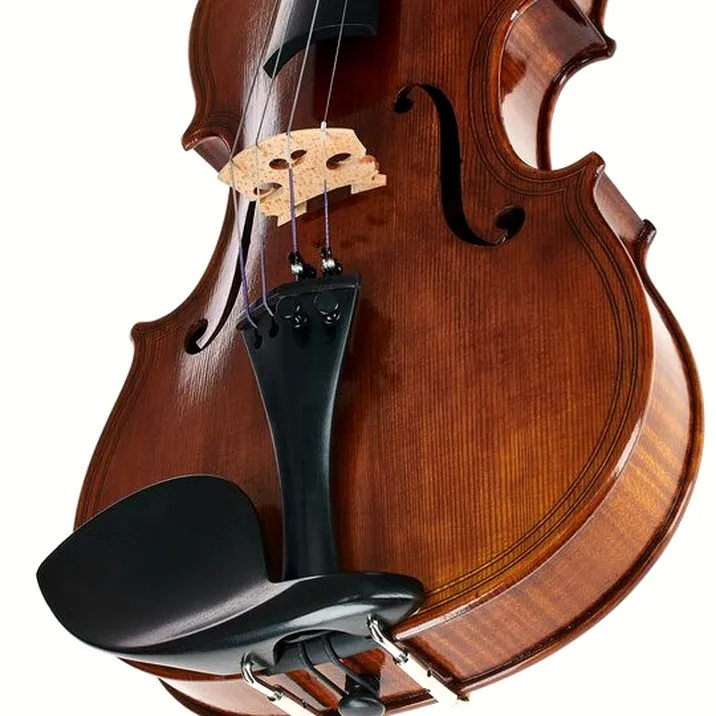 Scala Vilagio Bohemia M.R. Maggini Violin