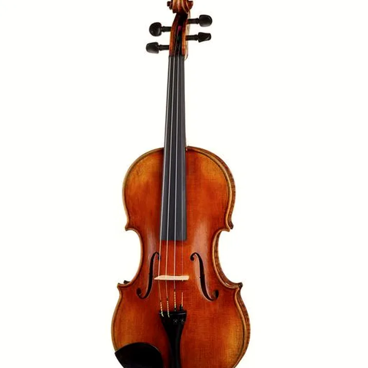 Scala Vilagio Psh06 E Concert Violin Guarn