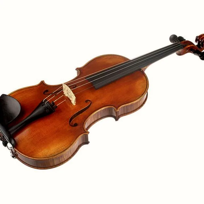 Scala Vilagio PSH06/E Concert Violin Guarn.