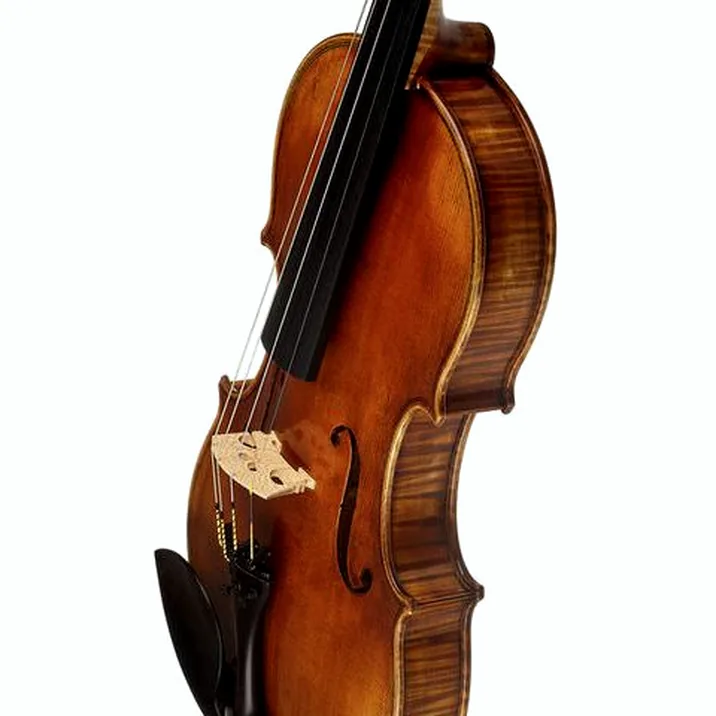 Scala Vilagio PSH06/E Concert Violin Guarn.