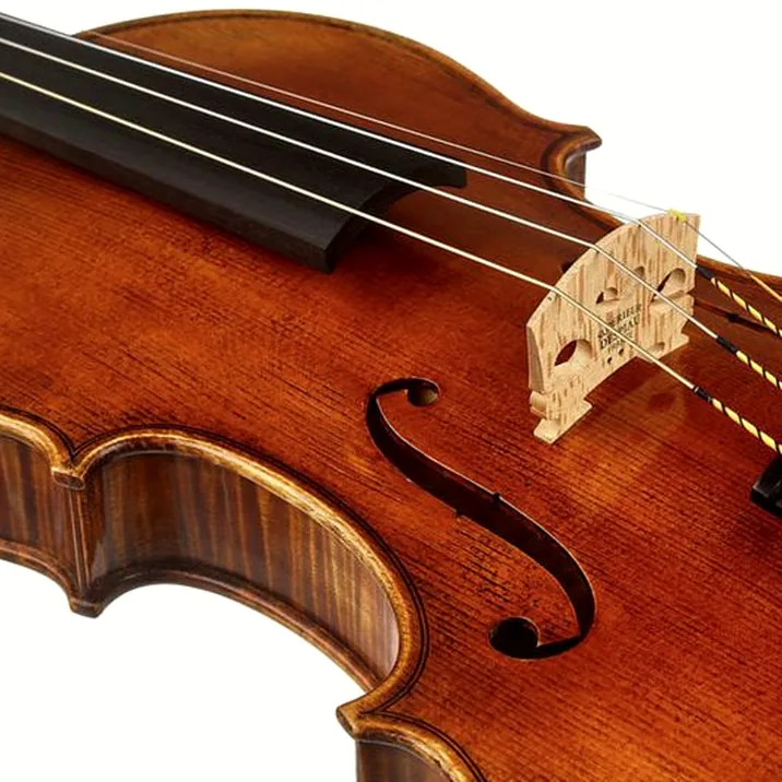 Scala Vilagio PSH06/E Concert Violin Guarn.