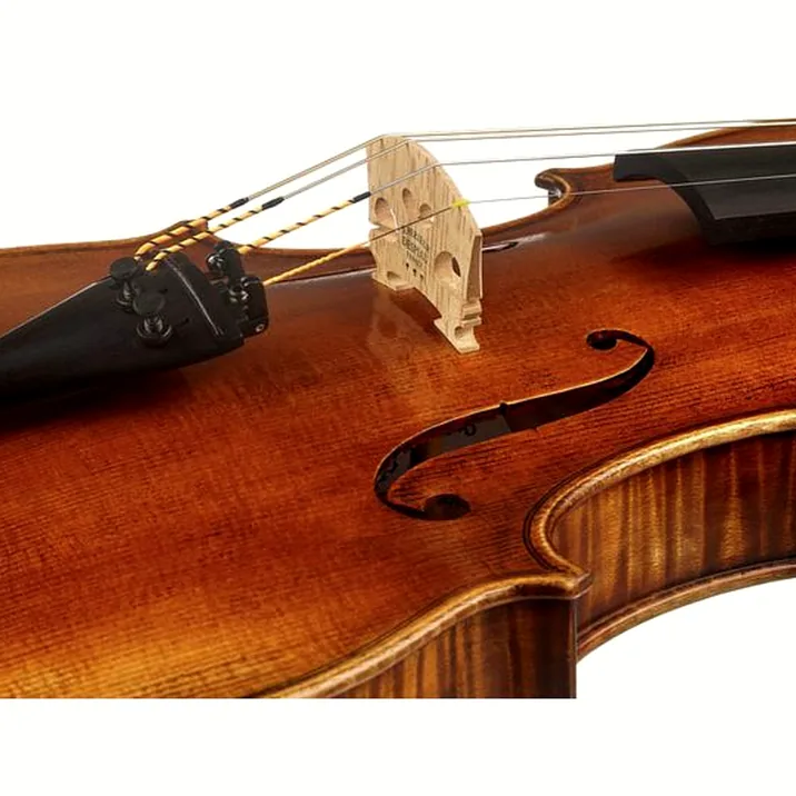 Scala Vilagio PSH06/E Concert Violin Guarn.