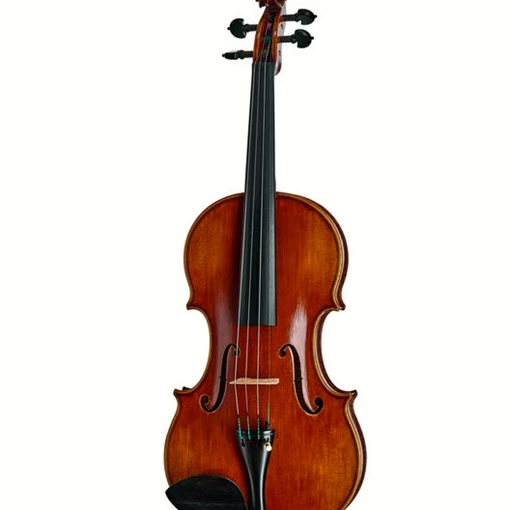 Scala Vilagio R O Guarneri Eclat Violin