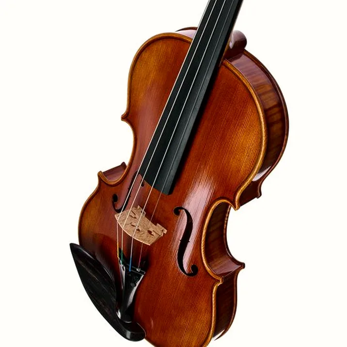 Scala Vilagio R.O. Stradivari Lumiere Violin