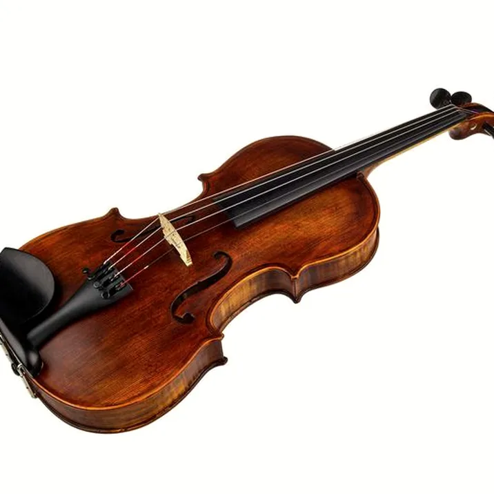 Stentor SR1864 Verona Violin 4/4