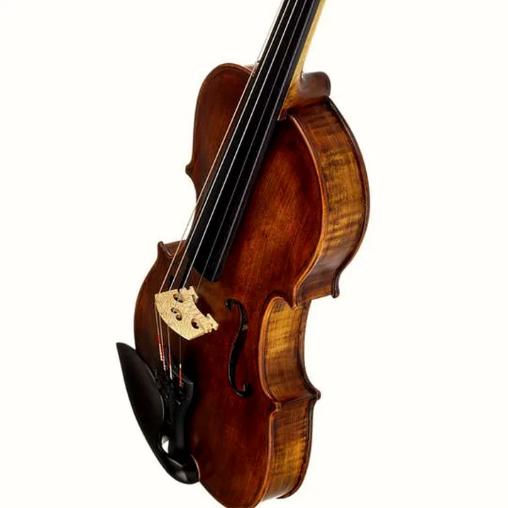 Stentor SR1864 Verona Violin 4/4