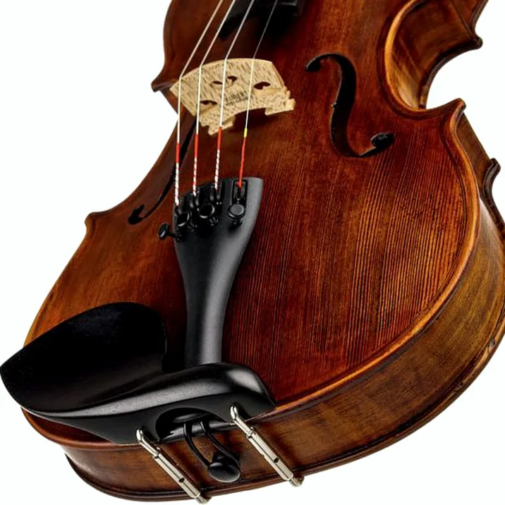 Stentor SR1864 Verona Violin 4/4