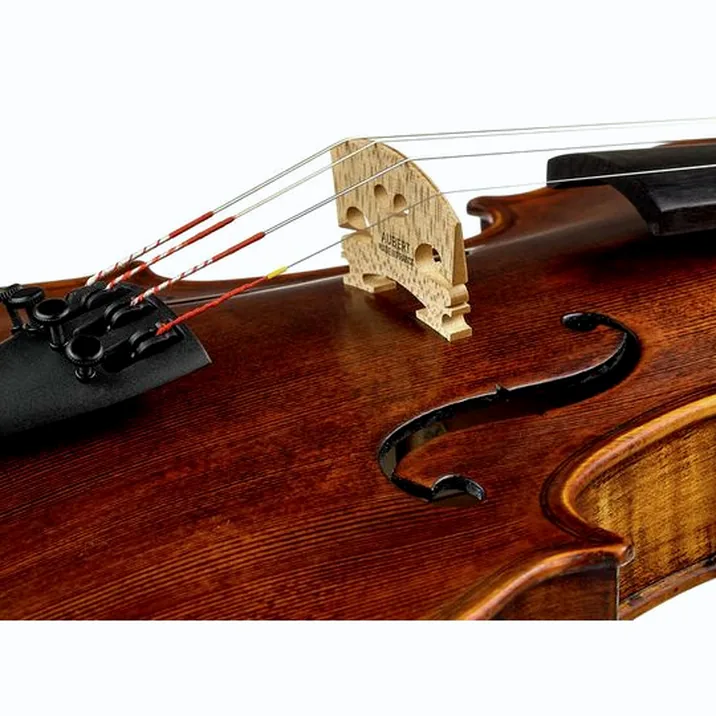 Stentor SR1864 Verona Violin 4/4