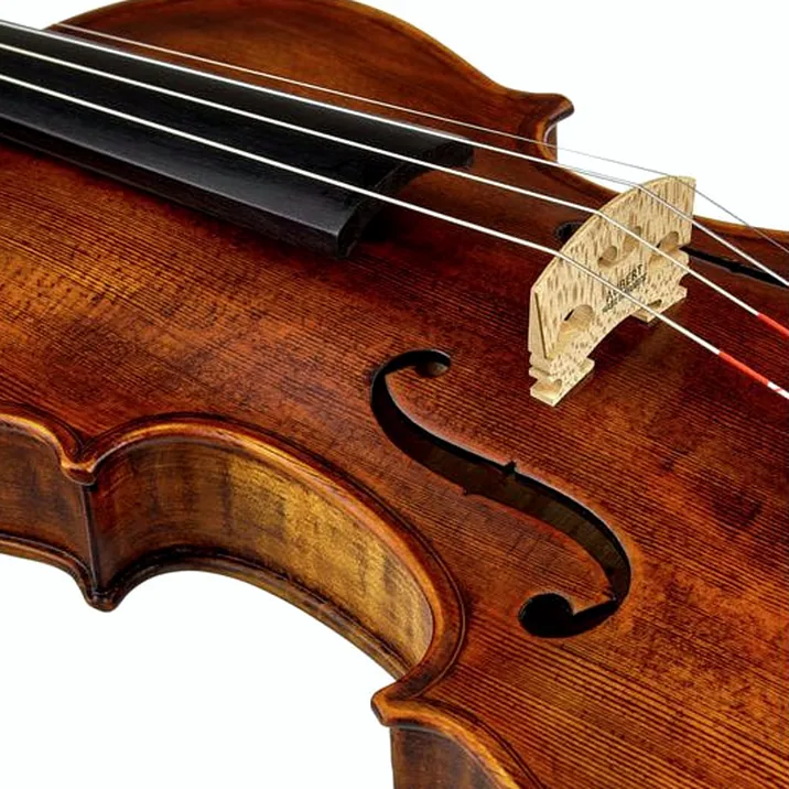Stentor SR1864 Verona Violin 4/4