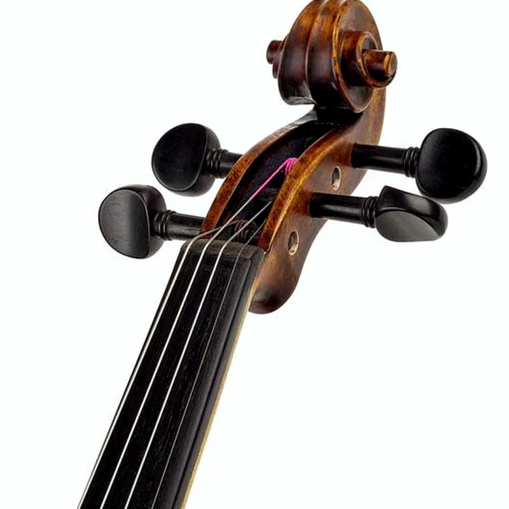 Stentor SR1864 Verona Violin 4/4