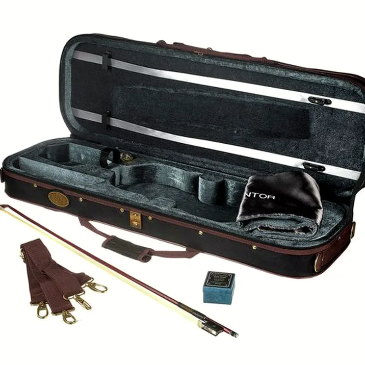 Stentor SR1864 Verona Violin 4/4