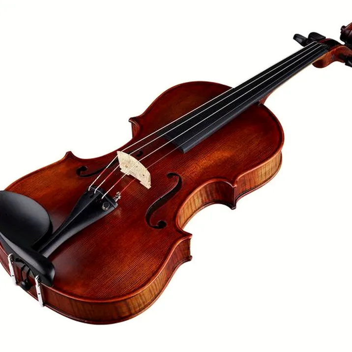 Stentor SR1880 Violin Arcadia 4/4