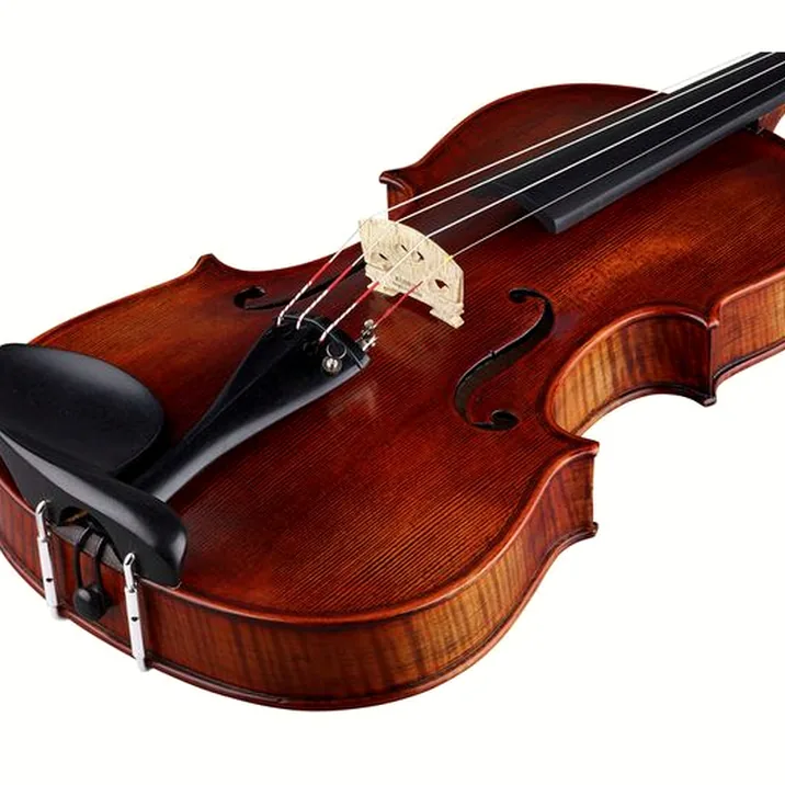 Stentor SR1880 Violin Arcadia 4/4