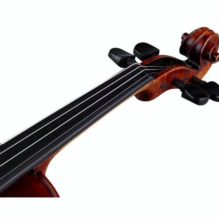 Stentor SR1880 Violin Arcadia 4/4