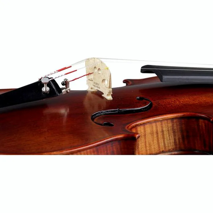 Stentor SR1880 Violin Arcadia 4/4