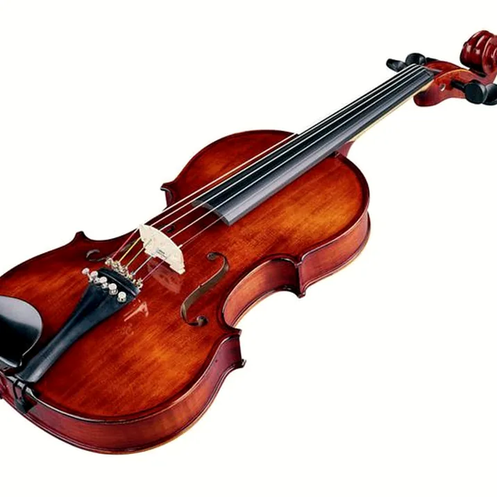 Thomann Europe 5-Str. Antiqued Violin