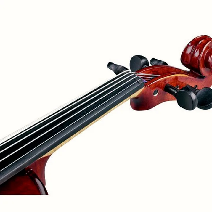 Thomann Europe 5-Str. Antiqued Violin