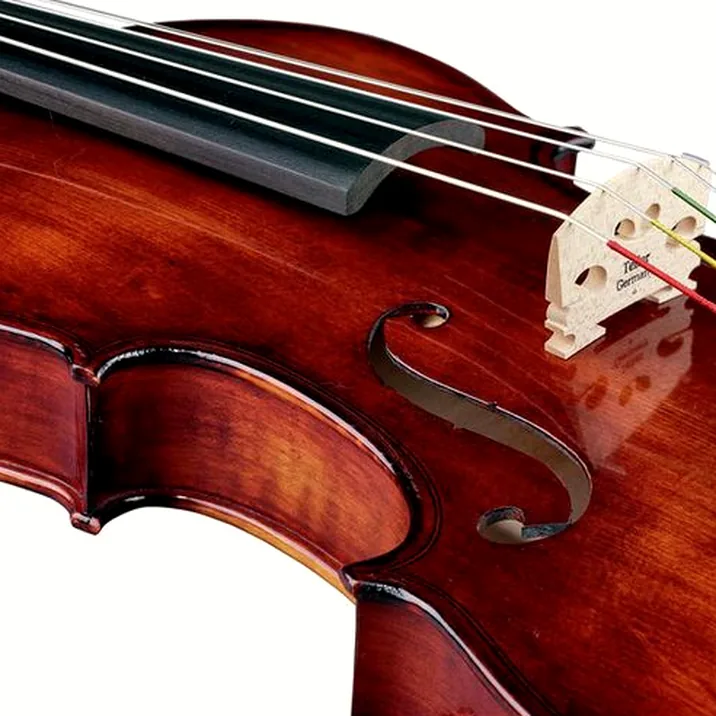 Thomann Europe 5-Str. Antiqued Violin