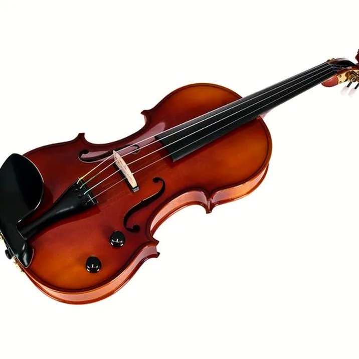 Thomann Europe Electric Violin 4/4 NV