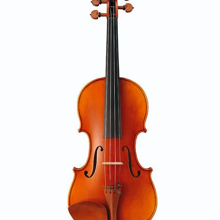Yamaha V 20 G Violine 44