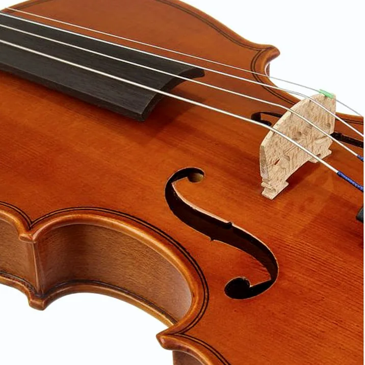 Yamaha V5 SC110 Violin 1/10